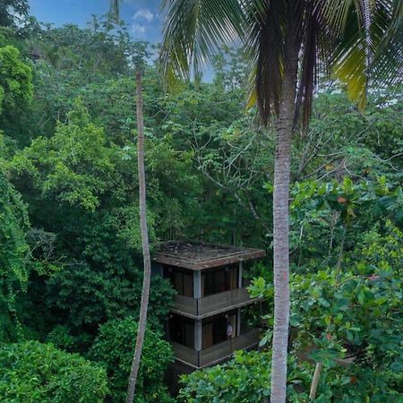 Taino Beach Lofts El Valle Kültér fotó