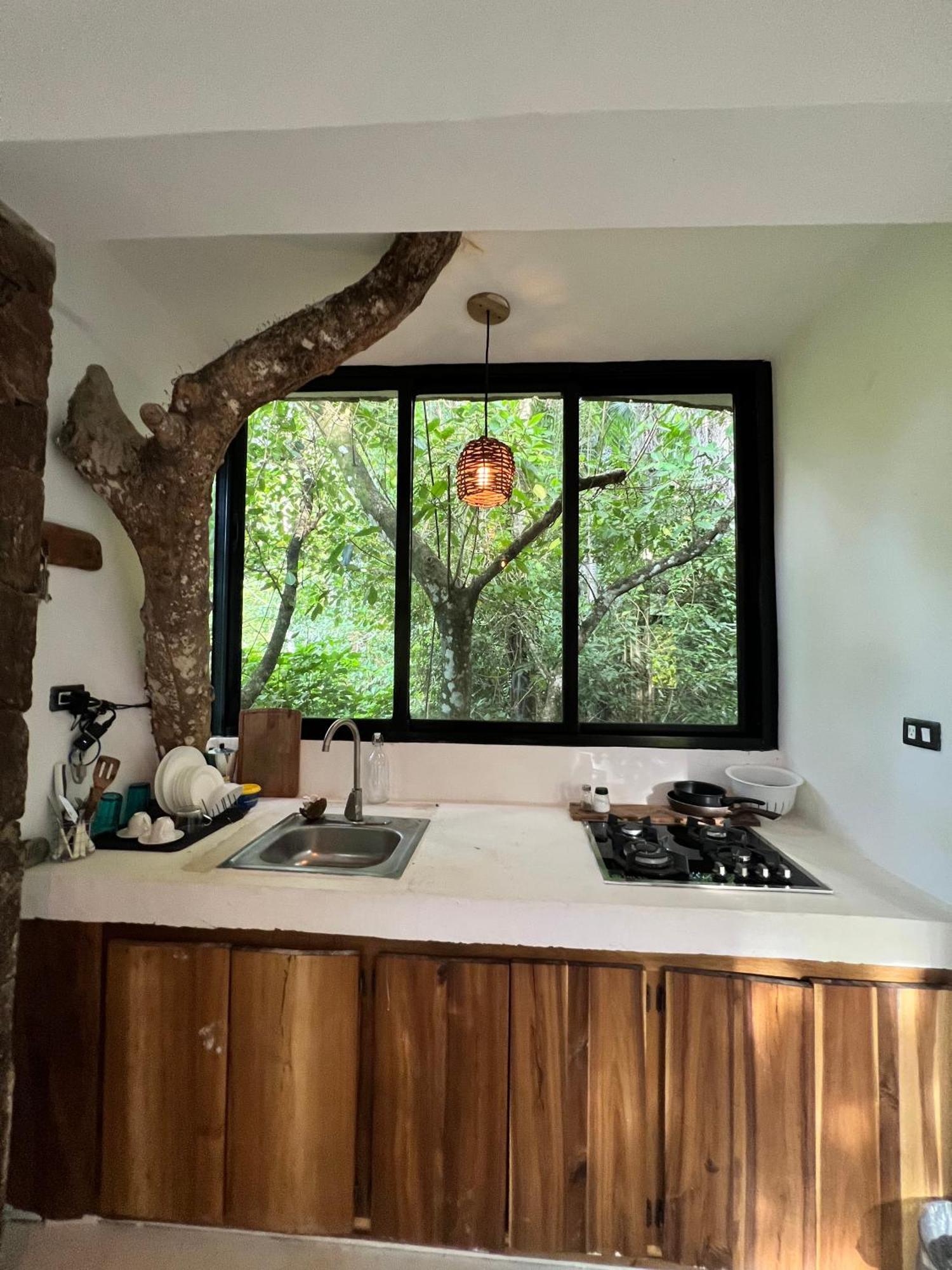 Taino Beach Lofts El Valle Kültér fotó